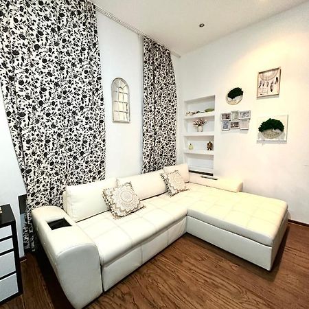 Harmony Homes- Piata Unirii Central Apartament Temesvár Kültér fotó