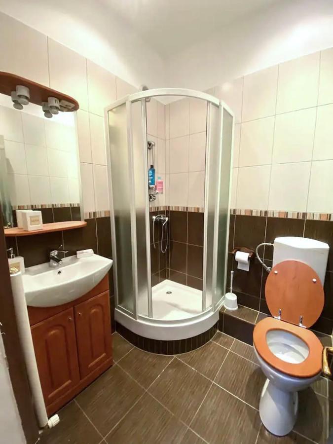 Harmony Homes- Piata Unirii Central Apartament Temesvár Kültér fotó