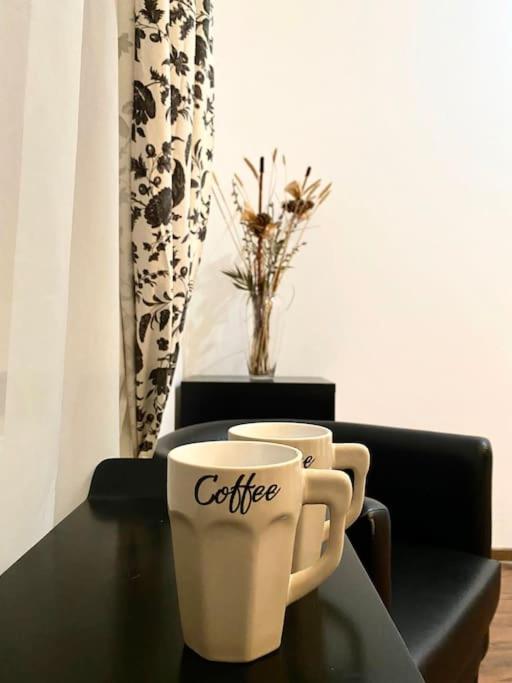 Harmony Homes- Piata Unirii Central Apartament Temesvár Kültér fotó