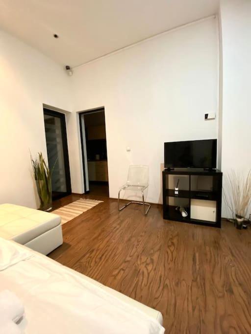 Harmony Homes- Piata Unirii Central Apartament Temesvár Kültér fotó