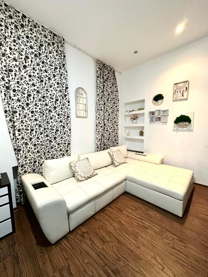 Harmony Homes- Piata Unirii Central Apartament Temesvár Kültér fotó