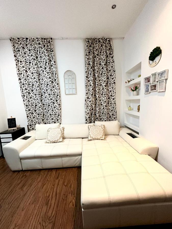 Harmony Homes- Piata Unirii Central Apartament Temesvár Kültér fotó
