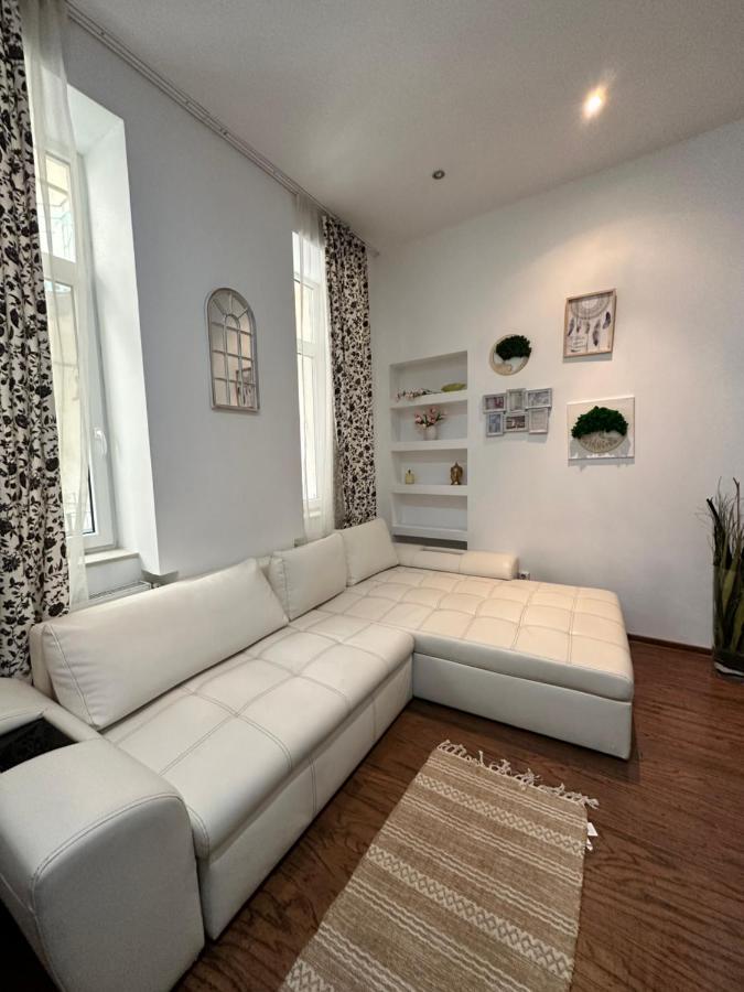 Harmony Homes- Piata Unirii Central Apartament Temesvár Kültér fotó