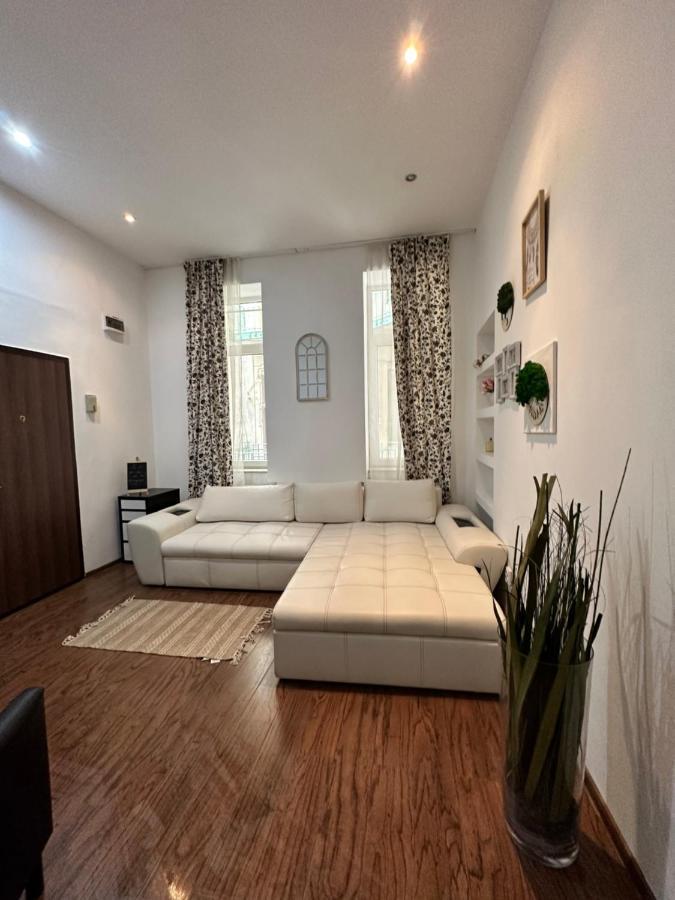 Harmony Homes- Piata Unirii Central Apartament Temesvár Kültér fotó