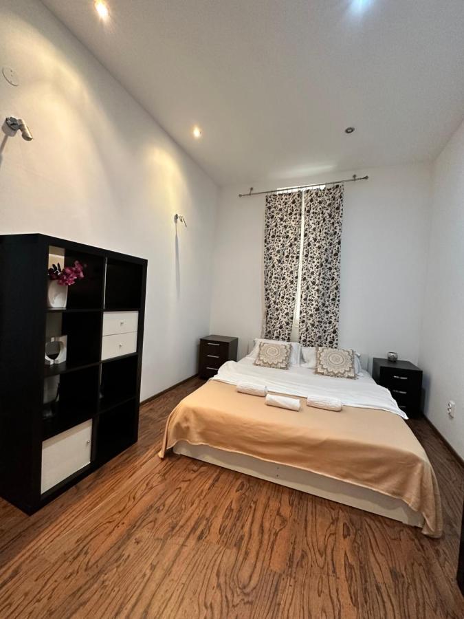 Harmony Homes- Piata Unirii Central Apartament Temesvár Kültér fotó