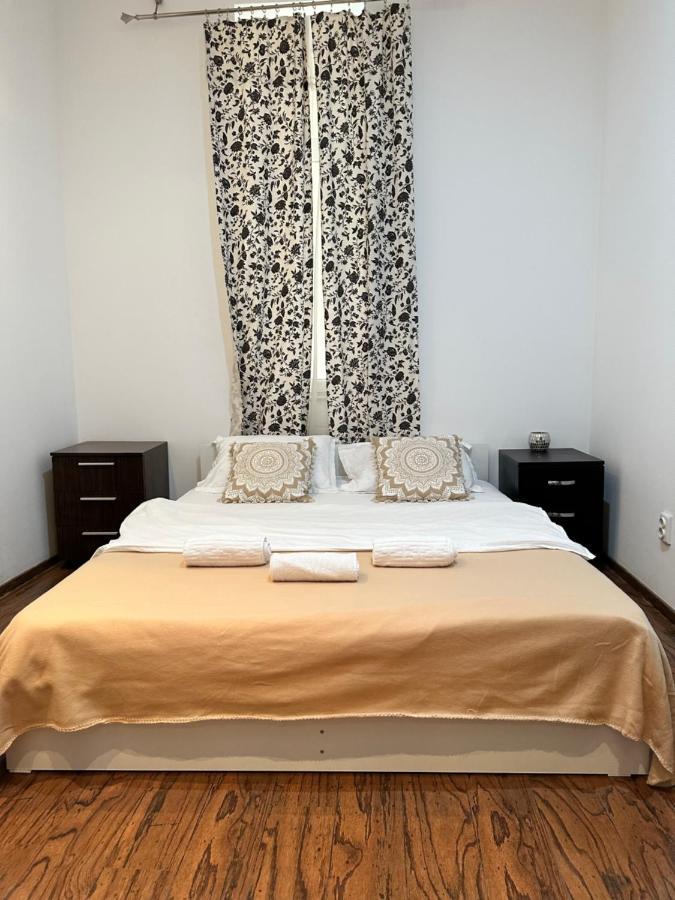 Harmony Homes- Piata Unirii Central Apartament Temesvár Kültér fotó