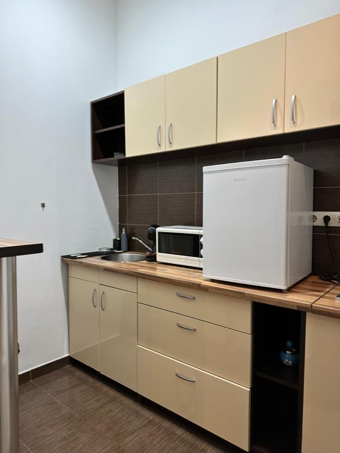 Harmony Homes- Piata Unirii Central Apartament Temesvár Kültér fotó