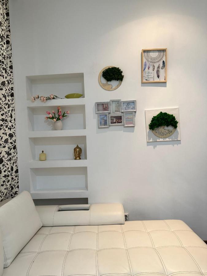 Harmony Homes- Piata Unirii Central Apartament Temesvár Kültér fotó